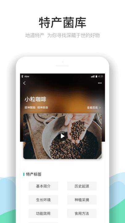 云南季app下载,云南季,旅游app,出行app